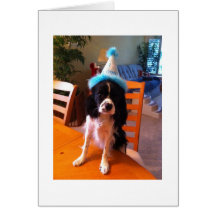 Fête d'anniversaire de Micahs Carte De Vœux