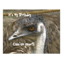 Fête d'anniversaire d'émeu cartons d'invitation