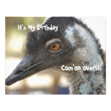 Fête d'anniversaire d'émeu invitations personnalisables