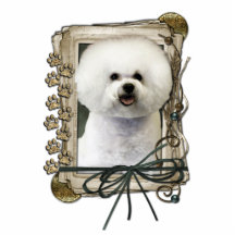 Fête des pères - pattes en pierre - Bichon Frise Photo En Relief