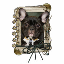 Fête des pères - pattes en pierre - bouledogue fra photo sculpture
