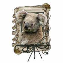 Fête des pères - pattes en pierre - koala photo sculptures