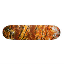 Feuillage d'arbre d'érable plateaux de skate