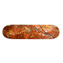 Feuillage d'arbre d'érable plateaux de skate
