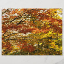 Feuillage d'arbre d'érable prospectus avec motif