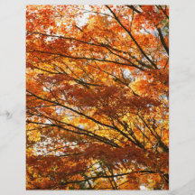 Feuillage d'arbre d'érable prospectus en couleur