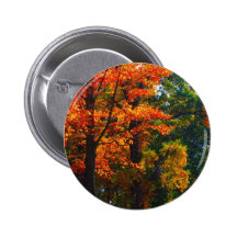 Feuillage d'automne pin's avec agrafe
