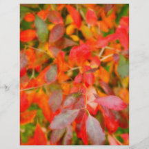 Feuillage d'automne prospectus personnalisés