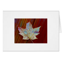 Feuille Carte