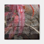 Feuille cloutée par diamant ; Calendrier 2012 Magnets