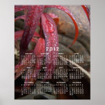 Feuille cloutée par diamant ; Calendrier 2012 Affiches