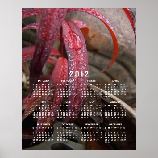 Feuille cloutée par diamant ; Calendrier 2012 Affiches