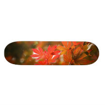 Feuille d'Acer Skateboards Cutomisables