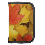FEUILLE D'AUTOMNE pochettes folios