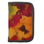 FEUILLE D'AUTOMNE pochettes folios
