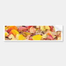 Feuille d'automne autocollant pour voiture