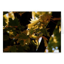 Feuille d'automne carte