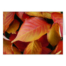 Feuille d'automne carte de vœux