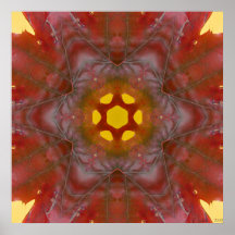 Feuille d'automne le 6 novembre 2012 poster