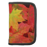 FEUILLE D'AUTOMNE pochettes folios