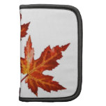 FEUILLE D'AUTOMNE pochettes folios