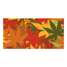 Feuille d'automne photocartes
