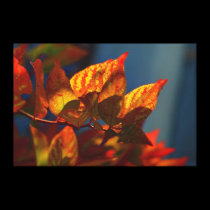 Feuille d'automne impressions sur toile