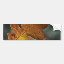Feuille de feuille adhésif pour voiture
