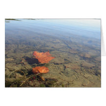 Feuille de flottement cartes