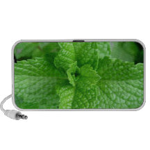 FEUILLE D'ÉTÉ HAUT-PARLEURS PC