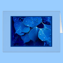 Feuille d'hiver cartes