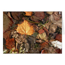 Feuille d'or carte