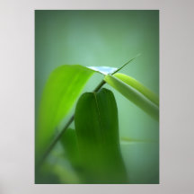 Feuille en bambou, Dendrocalmus Affiche