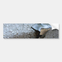 Feuille en métal adhésif pour voiture