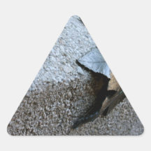 Feuille en métal autocollants