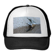Feuille en métal casquette de camionneur