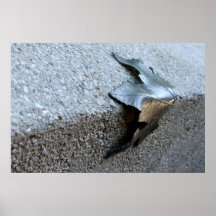 Feuille en métal posters