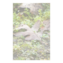 Feuille et mouron des oiseaux de chêne papier à lettre customisé