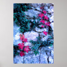 Feuille et roches rouges affiches