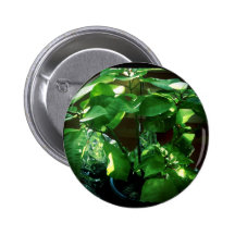 Feuille, feuillage et plante verts pin's avec agrafe