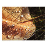 Feuille humide d'automne - photo