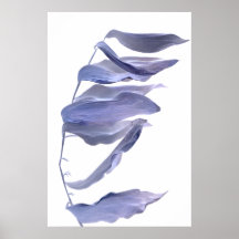 feuille inversé dans le vent posters