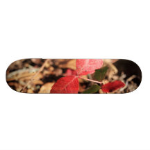 Feuille rouge plateaux de skateboards customisés