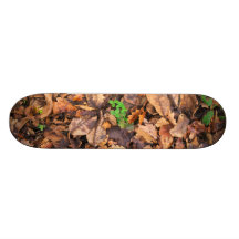 Feuille sec d'automne et trèfles verts plateau de skate