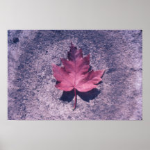 Feuille simple affiches