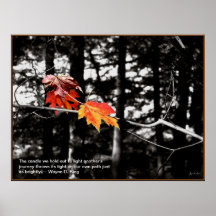 Feuille solitaire posters
