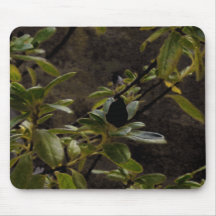 Feuille Tapis De Souris