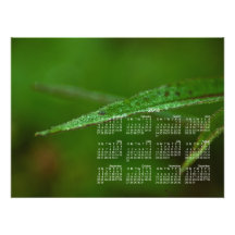 Feuille vert scintillant ; Calendrier 2013 Photographes