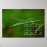 Feuille vert scintillant ; Calendrier 2013 Posters