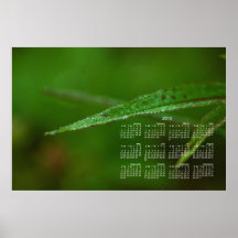 Feuille vert scintillant ; Calendrier 2013 Posters